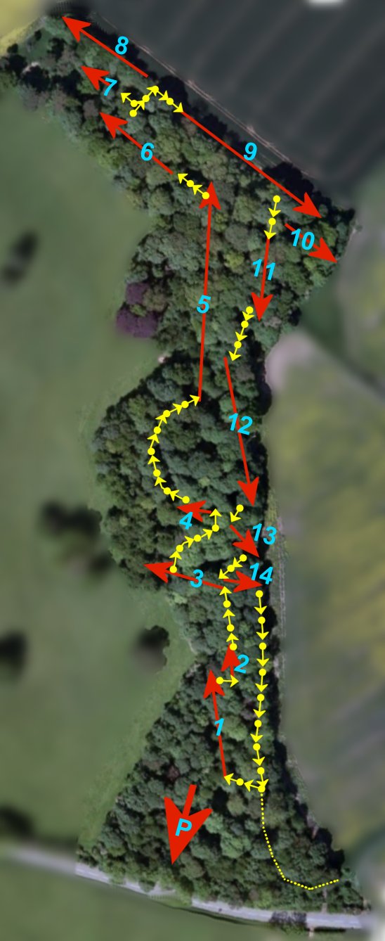 Course Map